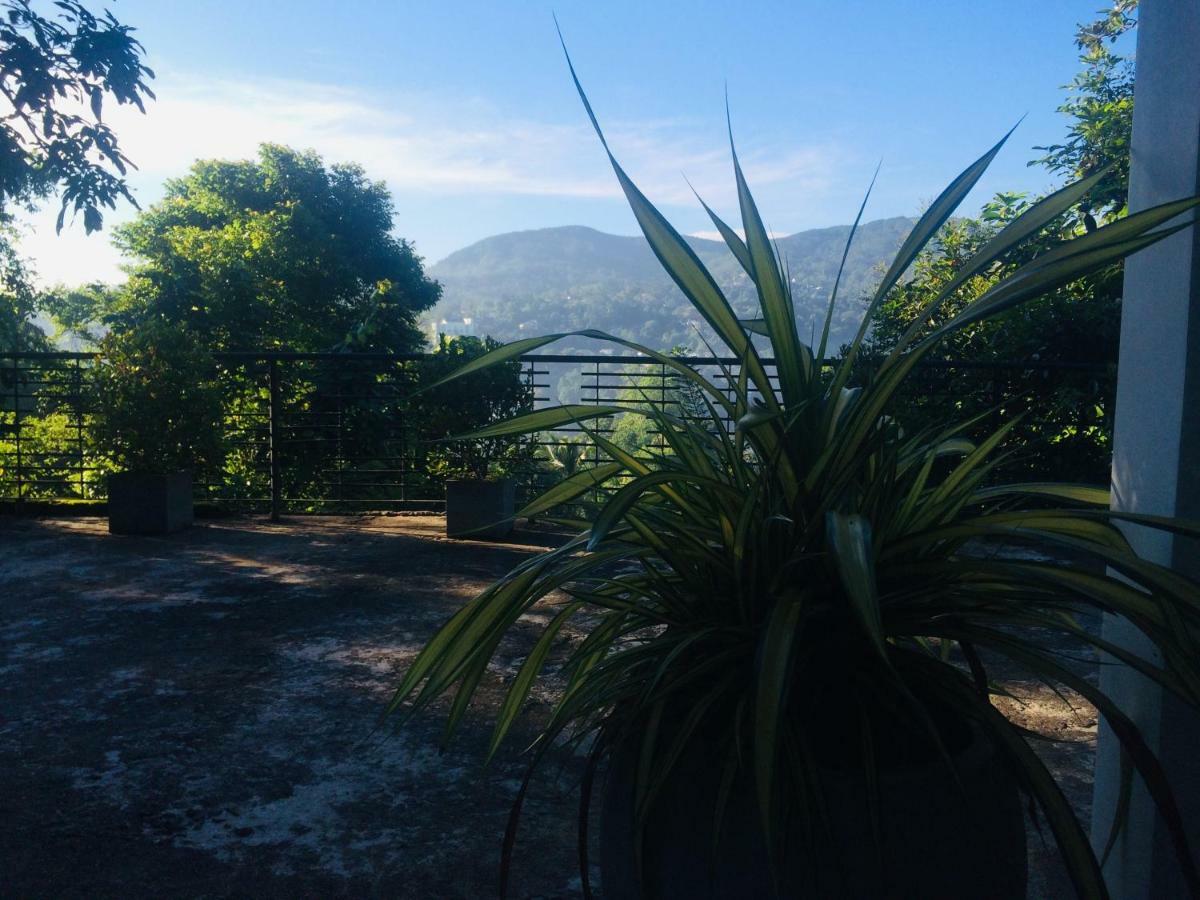 Bed and Breakfast Selyna Sky Terrace Kandy Exterior foto